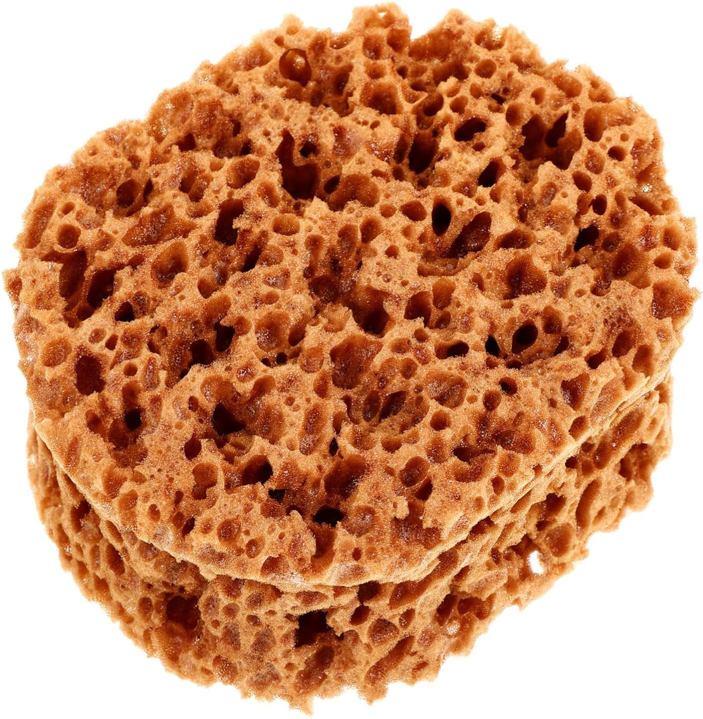 Natural Sea Sponge for Painting and Art Supplies, Large M88Kg Printed Pattern Sponge for Artists, Texturing and Wall Painting Tool Suitable for Drywall and Creative Projects image number 2