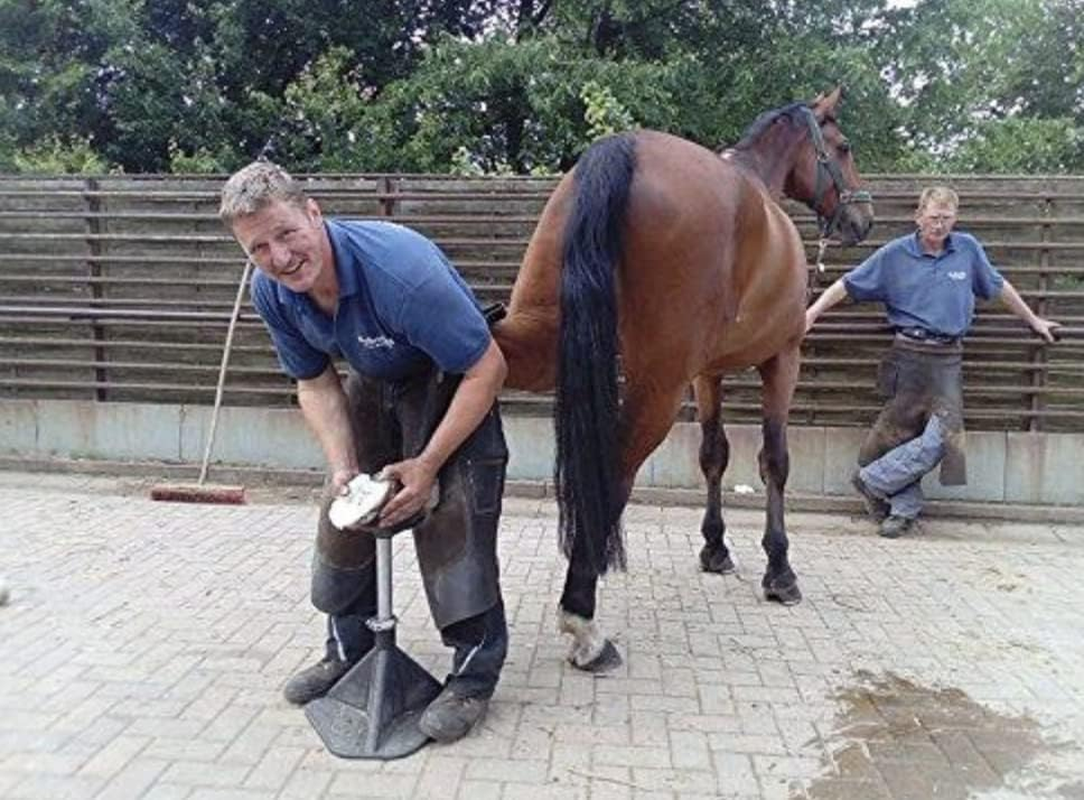 Hoof-It&reg; Blacksmith Hoof Buck - Blue image number 6