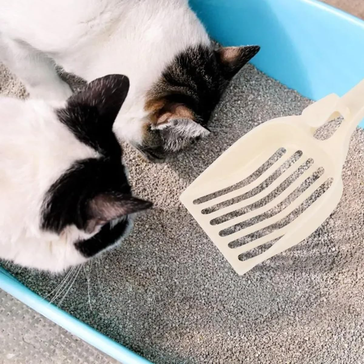 AIMALL 8 PCS Large Cat Litter Shovel with Long Handle for Tofu Cat Litter, 9.25 X 3.93 Inch Durable PP Plastic Cat Dung Shovel, Hollow Design for Fast Sand Leakage image number 6