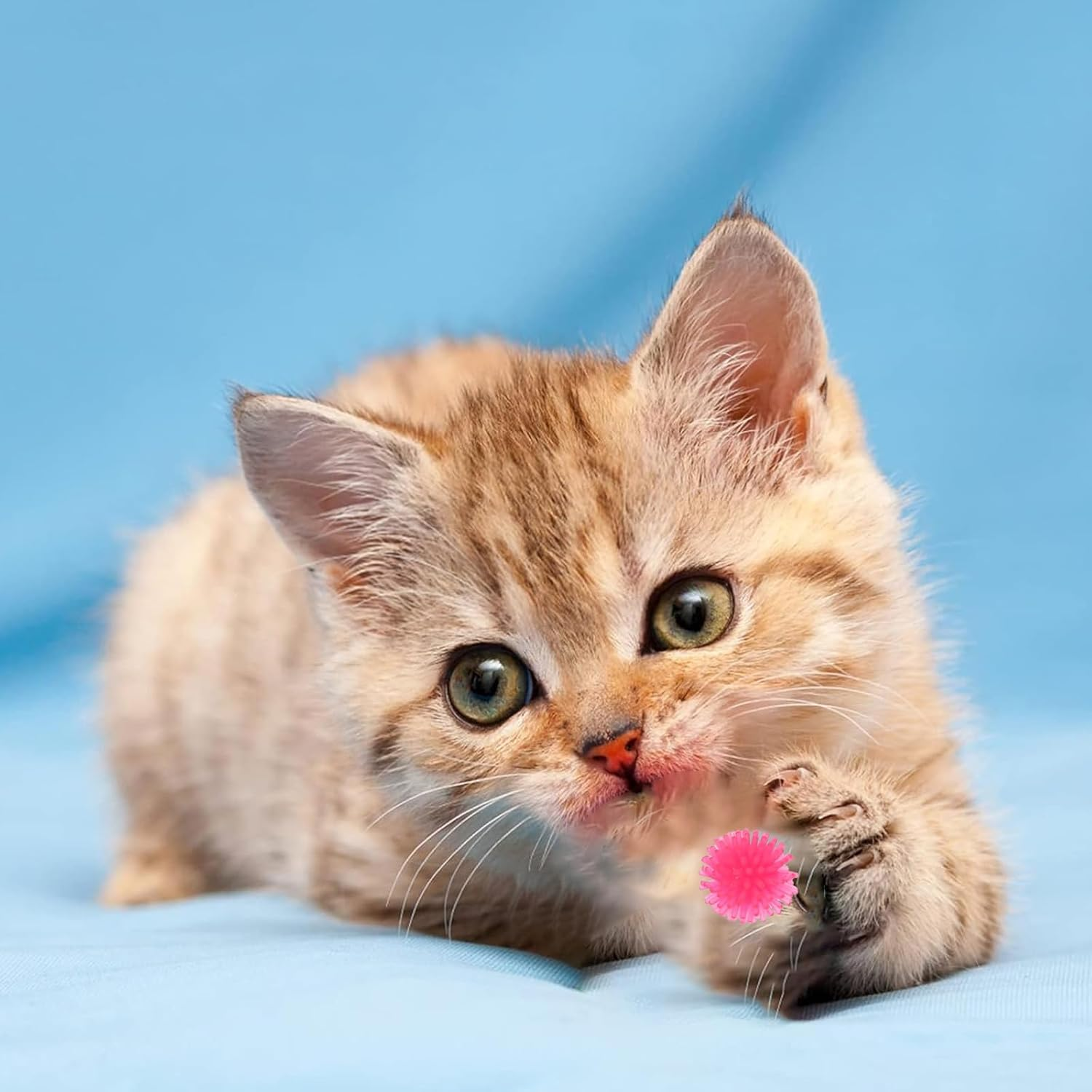 DHWEKU Cat Toy Balls, 8 Pieces 2 Cm Chew Balls, Colourful Cat Balls, Soft Stitch Balls, Interactive Cat Toy, Kitten Hunting Toy for Cats and Kittens Indoor image number 1