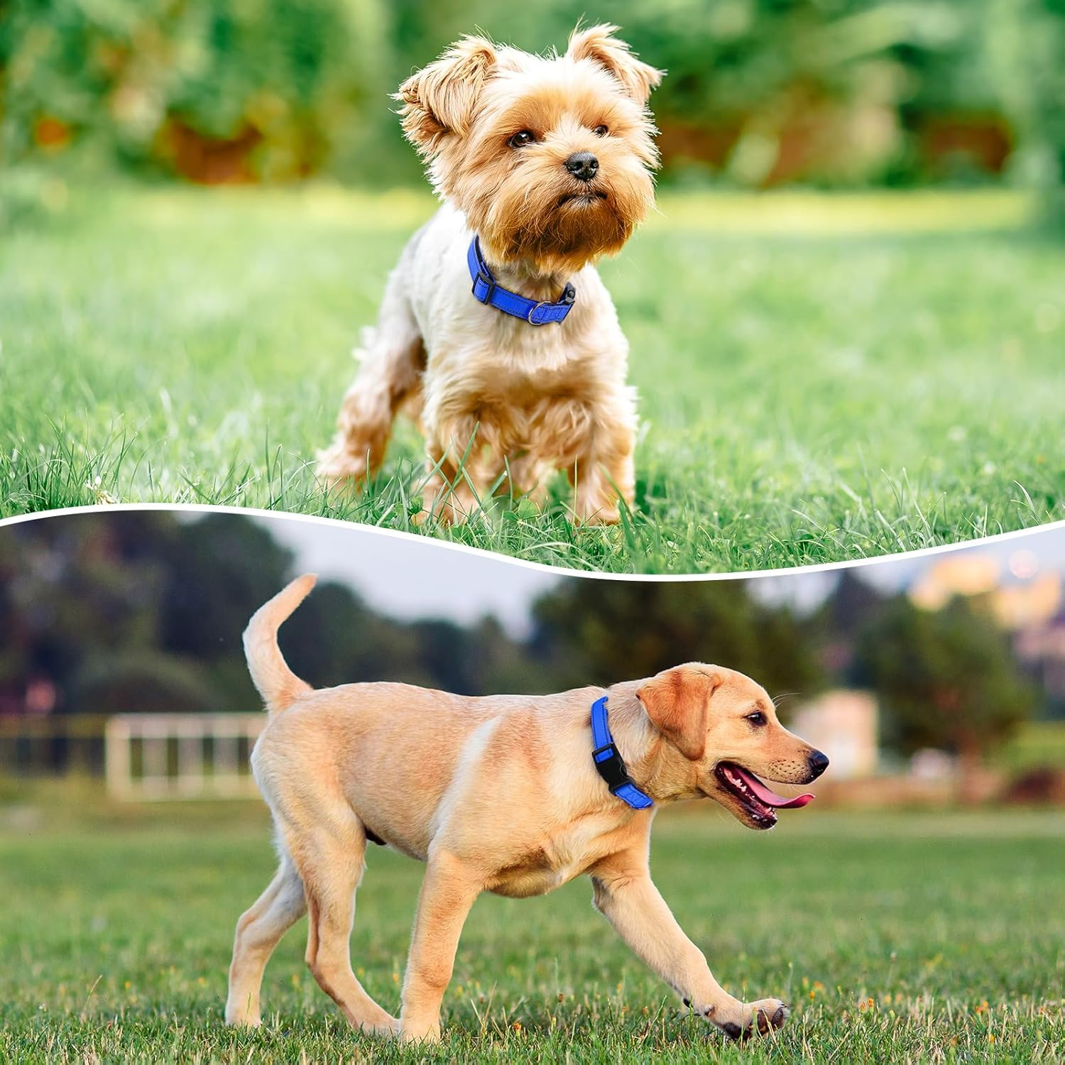 Penseepet Reflective Dog Collar Padded with Soft Neoprene Breathable Quick Release Basic Dog Collars for Medium Large Dogs Blue Boy Girl image number 4