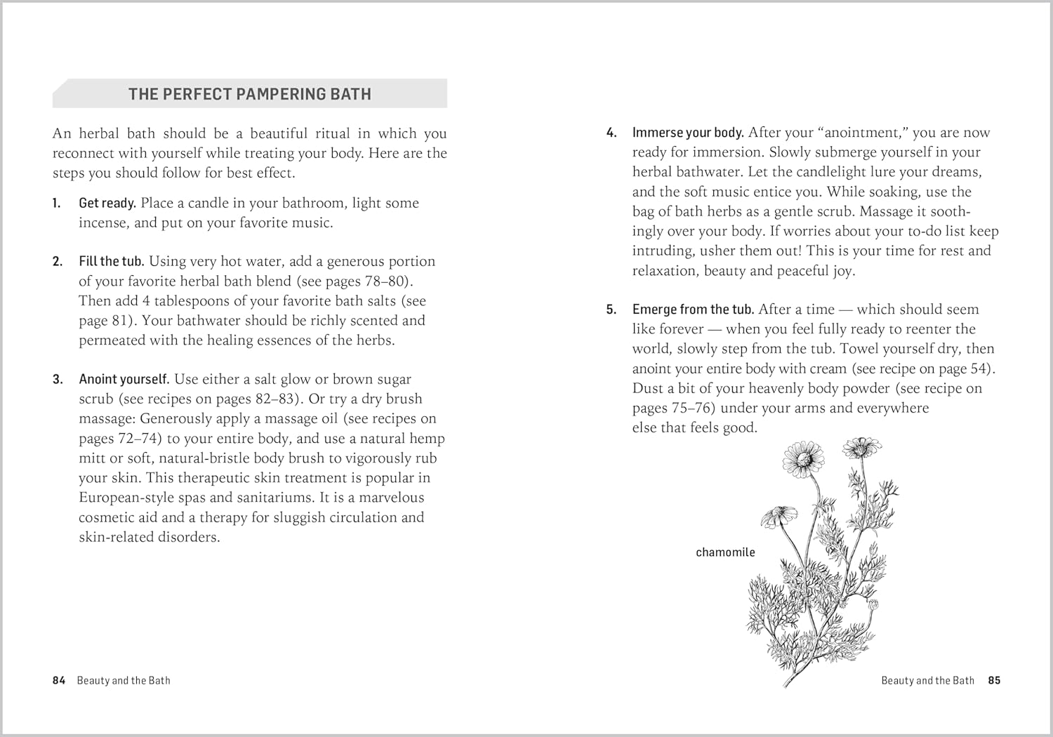 Herbs for Natural Beauty: Create Your Own Herbal Shampoos, Cleansers, Creams, Bath Blends, and More. a Storey BASICS&reg; Title image number 1