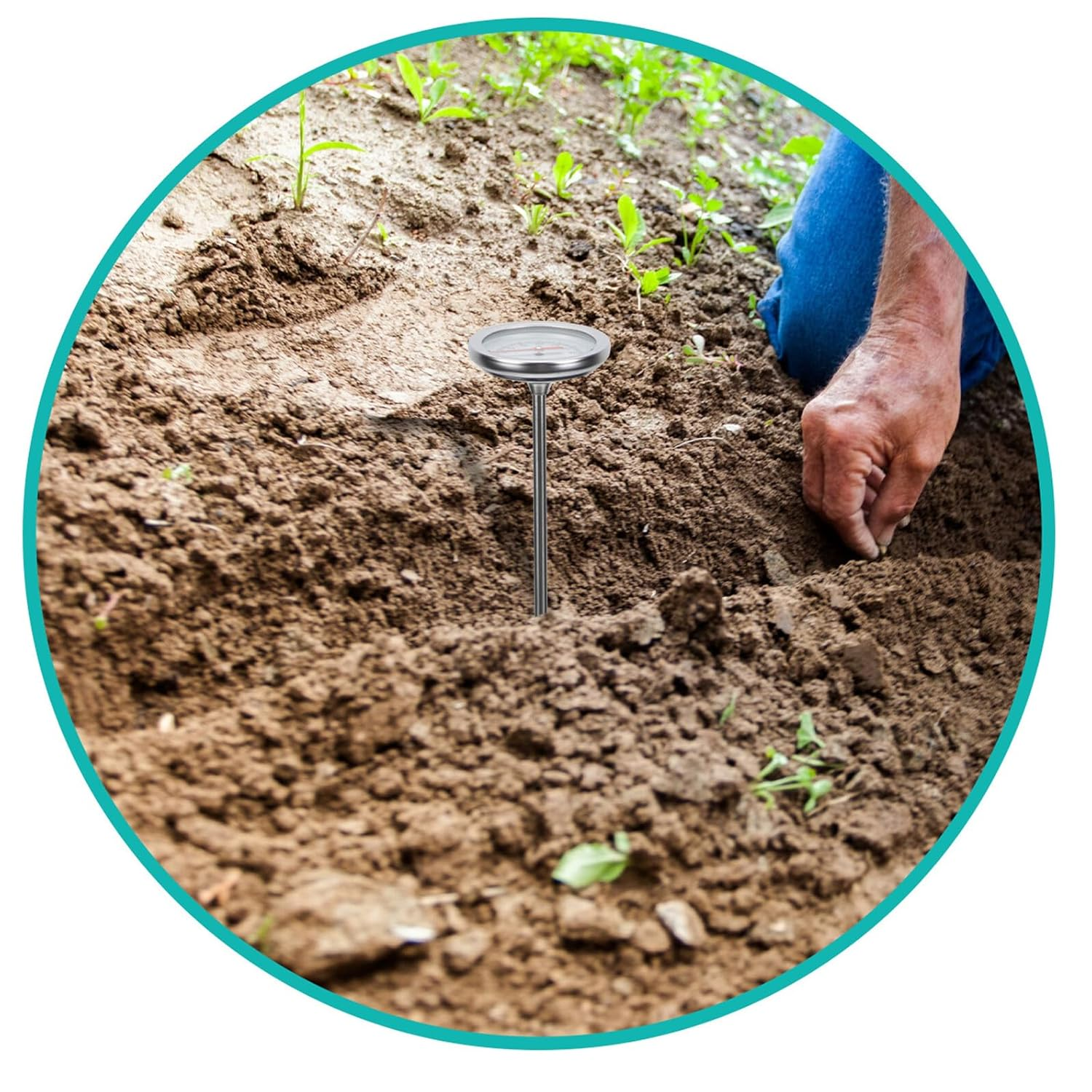 Stainless Steel Soil Thermometer Probe with Scale Precision Compost Thermometer Tool for Gardening Long Stem Temperature Detector C- image number 3