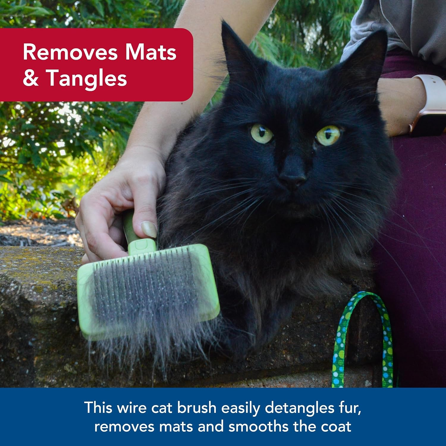 Coastal Pet Safari - Cat Self-Cleaning Slicker Brush - Cat Grooming Supplies image number 3
