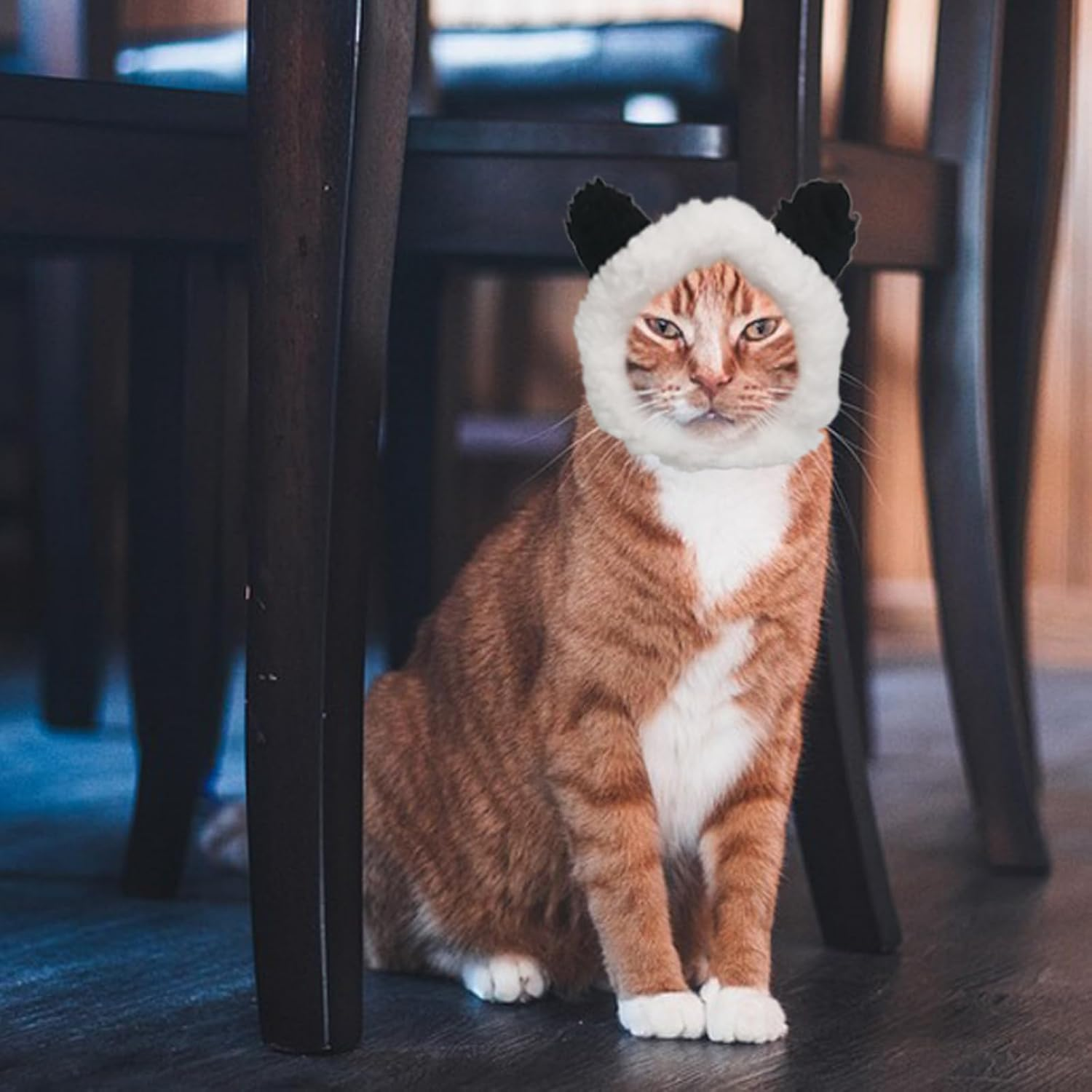 Cat Hat with Bear Ears Cute Cat Costume Bear Hat Adjustable Soft Plush Pet Headband Dress up Party Headwear Accessories for Small Puppy Dog Kitten (White+Black) image number 3