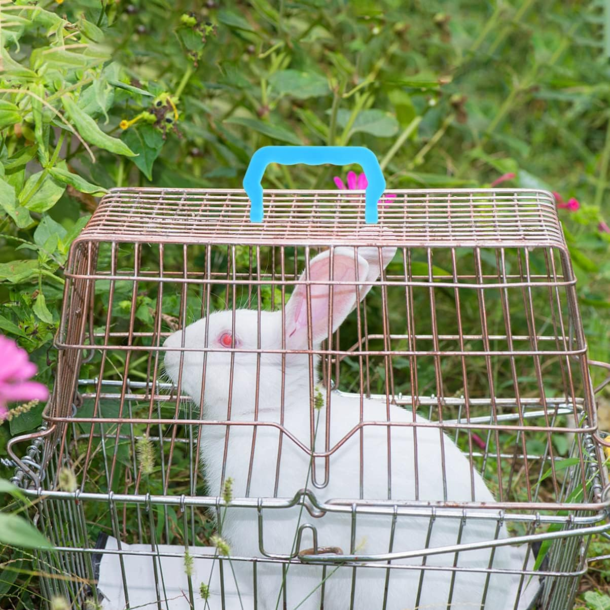 Iplusmile 10Pcs Portable Cage Plastic Bird Cage Handle Designed for Outdoor Use Lightweight Pet and Accessories