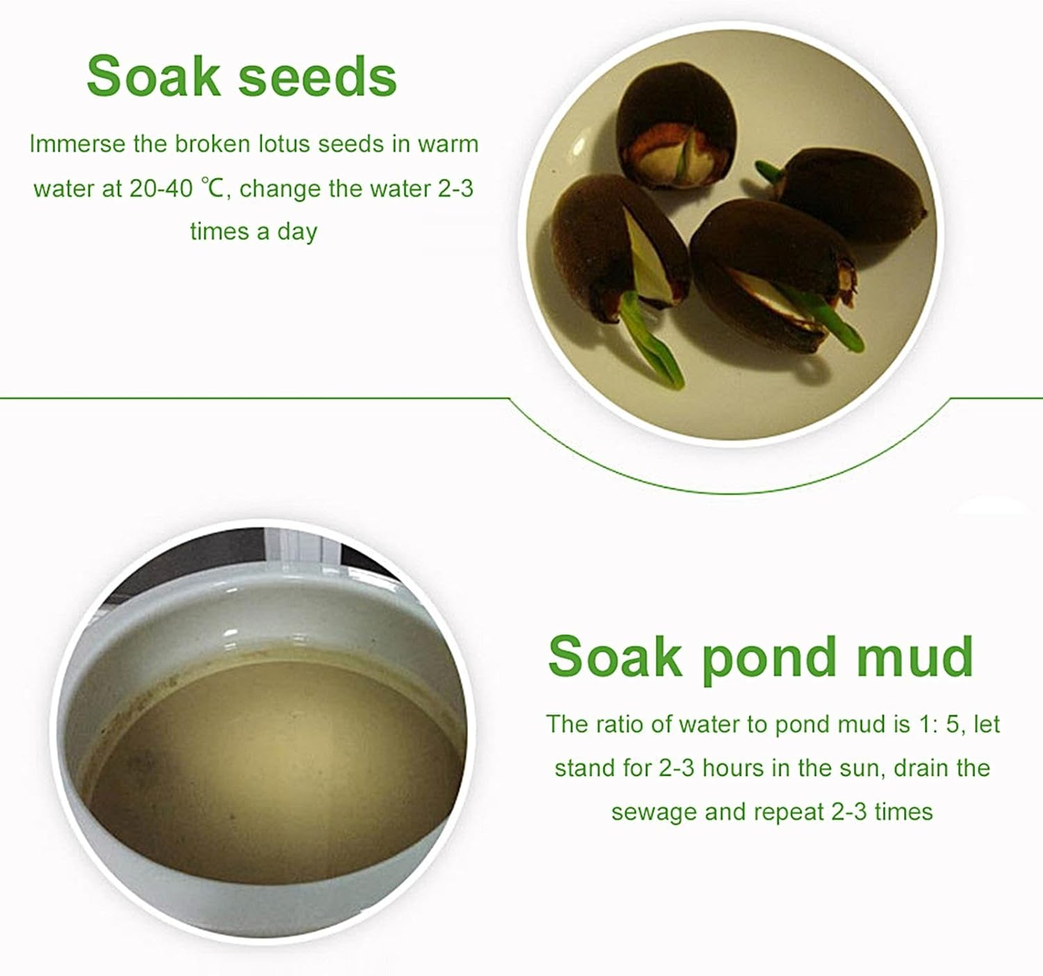 Aquatic Pond Soil | Natural Pond Mud with Nutrients | Plant Growing Media for Water Lilies, Gardening Supplies image number 5
