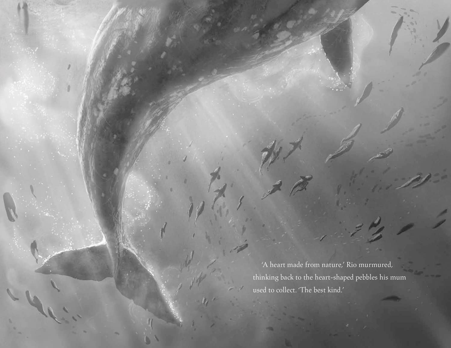 The Lost Whale: a Powerful Animal Adventure Story for Children, from the Bestselling Author of the Last Bear image number 5