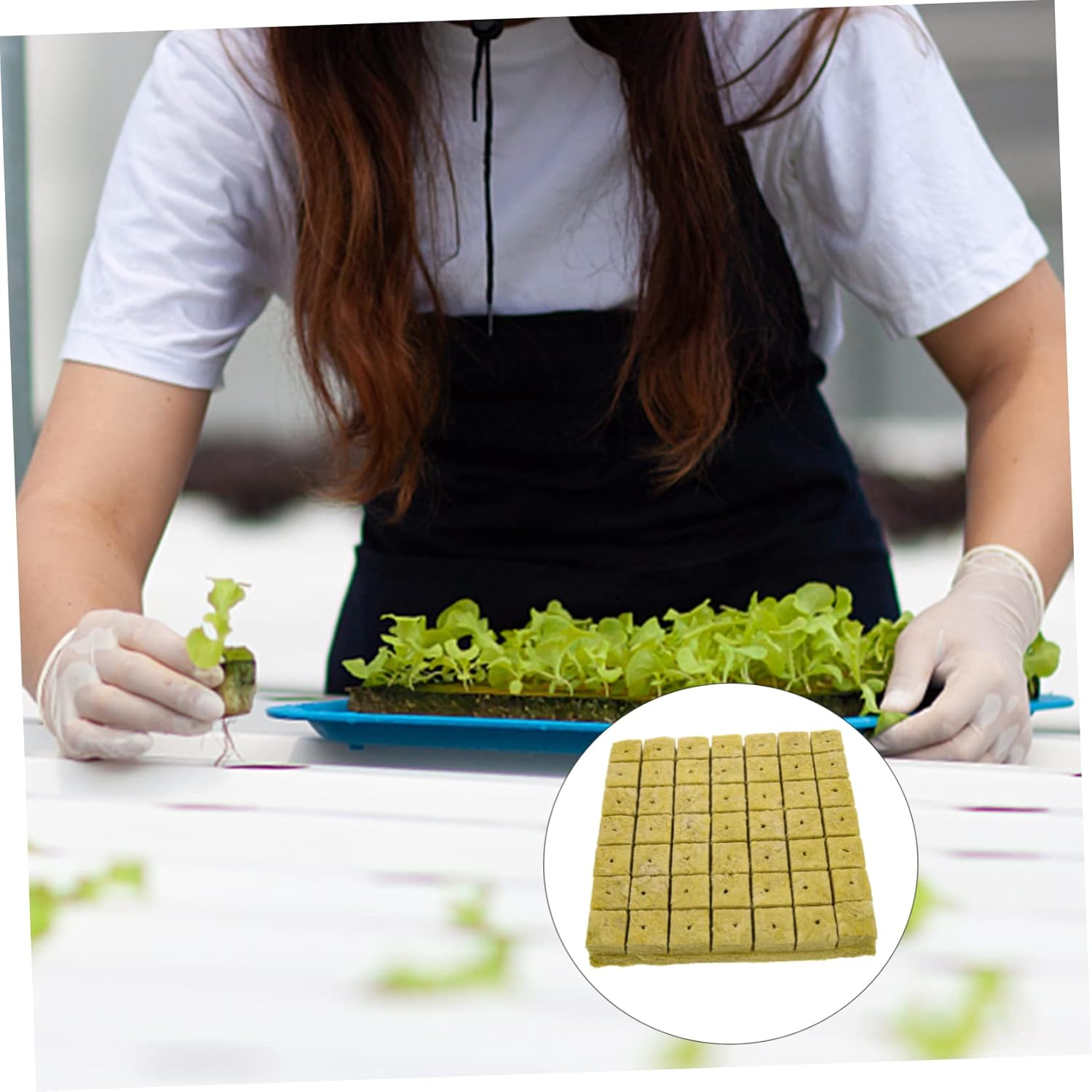 ROMISBABA Hydroponic Grow Medium Planting Cubes Plugs 98Pcs Substrate Blocks for Vegetable Flower Gardening image number 4