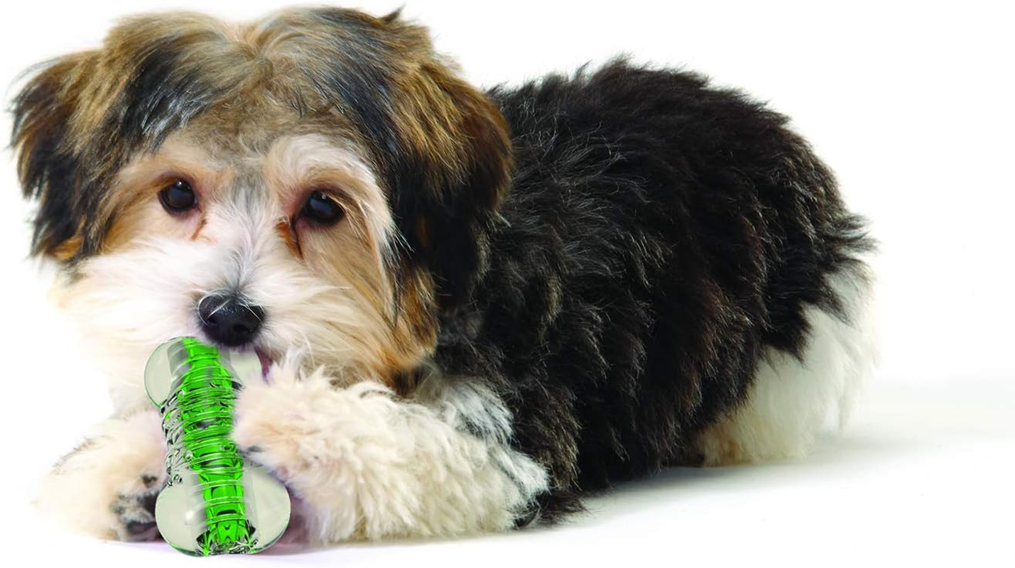 Petstages Crunchcore Bone Water Bottle Alternative Dog Chew Toy, XS image number 2