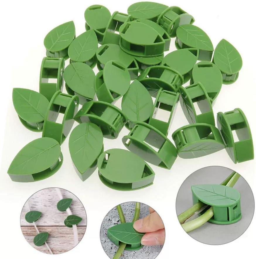 50 Pieces Green Plant Fixator No Trace Adhesive Plant Clips for Climbing Plants Strong Wall Clips for Vine Plants Eco Friendly Plant Wall Clips Easy to Use Space Saving Plant Clips image number 4