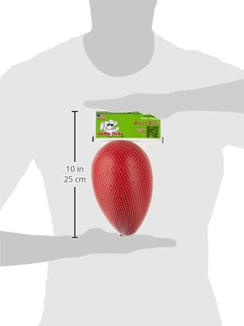Jolly Pets Jolly Egg Dog Toy, 8 Inches/Medium, Red (JE08 RD)