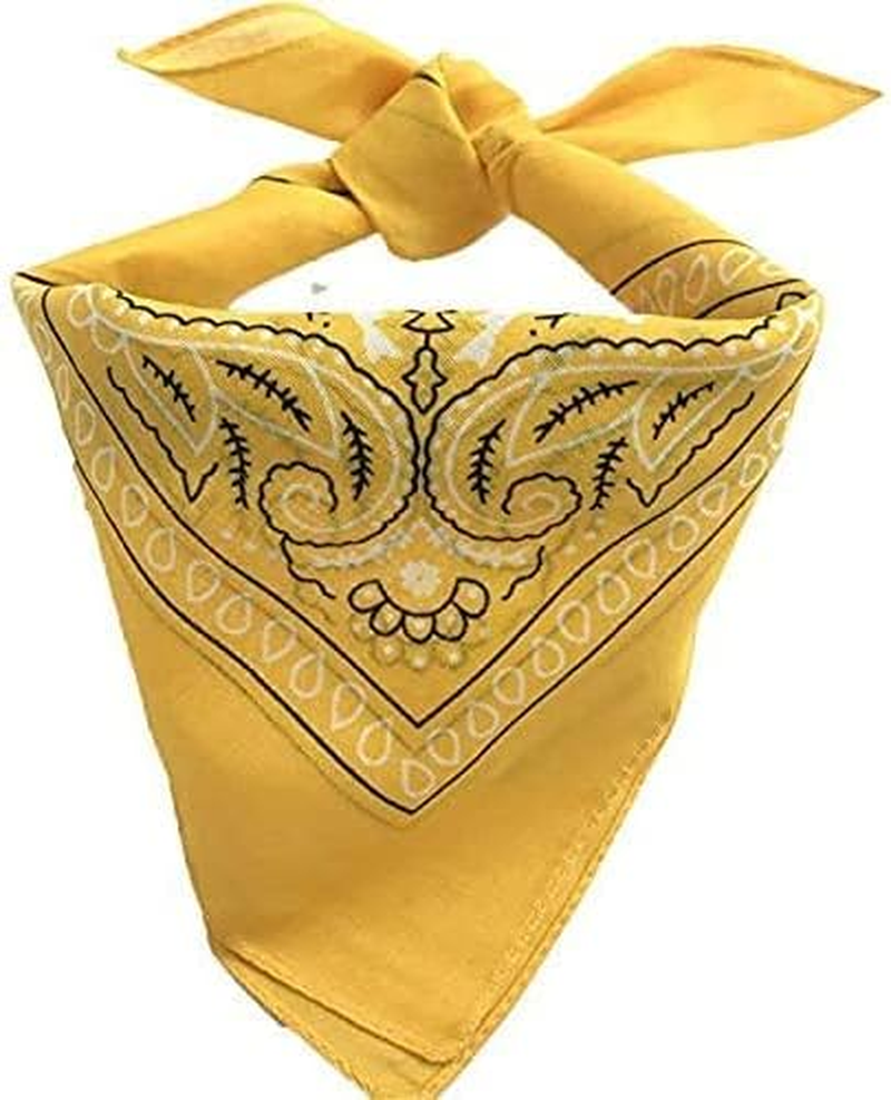 12Pcs Bandanas with Original Paisley Pattern Colour of Choice Headwear/Hair image number 4