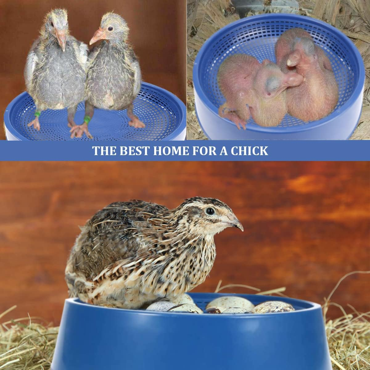 10 Pcs Plastic Pigeon Nest Bird Nest Bowls Pigeon Nest Bowl Breeding Hatching Nest for Pigeons Quails Breeding Hatching (Blue) image number 6