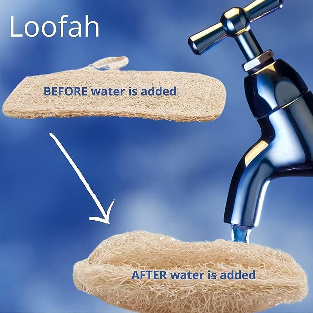 Natural Bamboo Dish Cleaning Brush Set of 8 - Eco Friendly Bottle Brush Dish Scrub - Sustainable Cleaning Tools - Zero Waste - Plastic Free Living