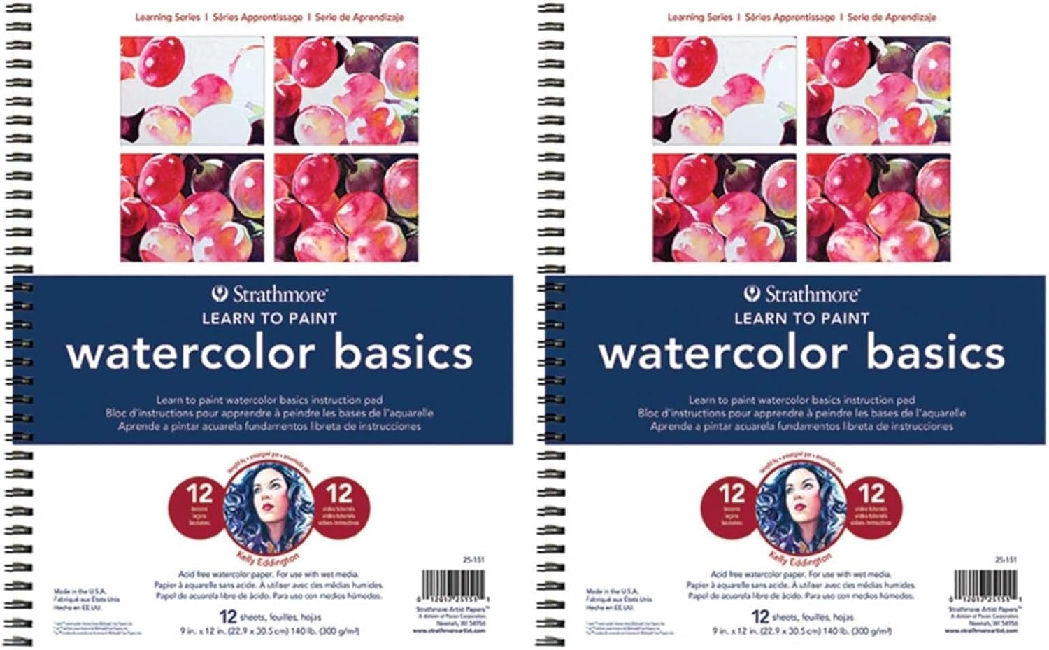 Strathmore (25-752 300 Learning Series Colored Pencil Textures Pad, White, 9X12 In - 9-X-12-Inch (Pack Of 2), Watercolor, Basics