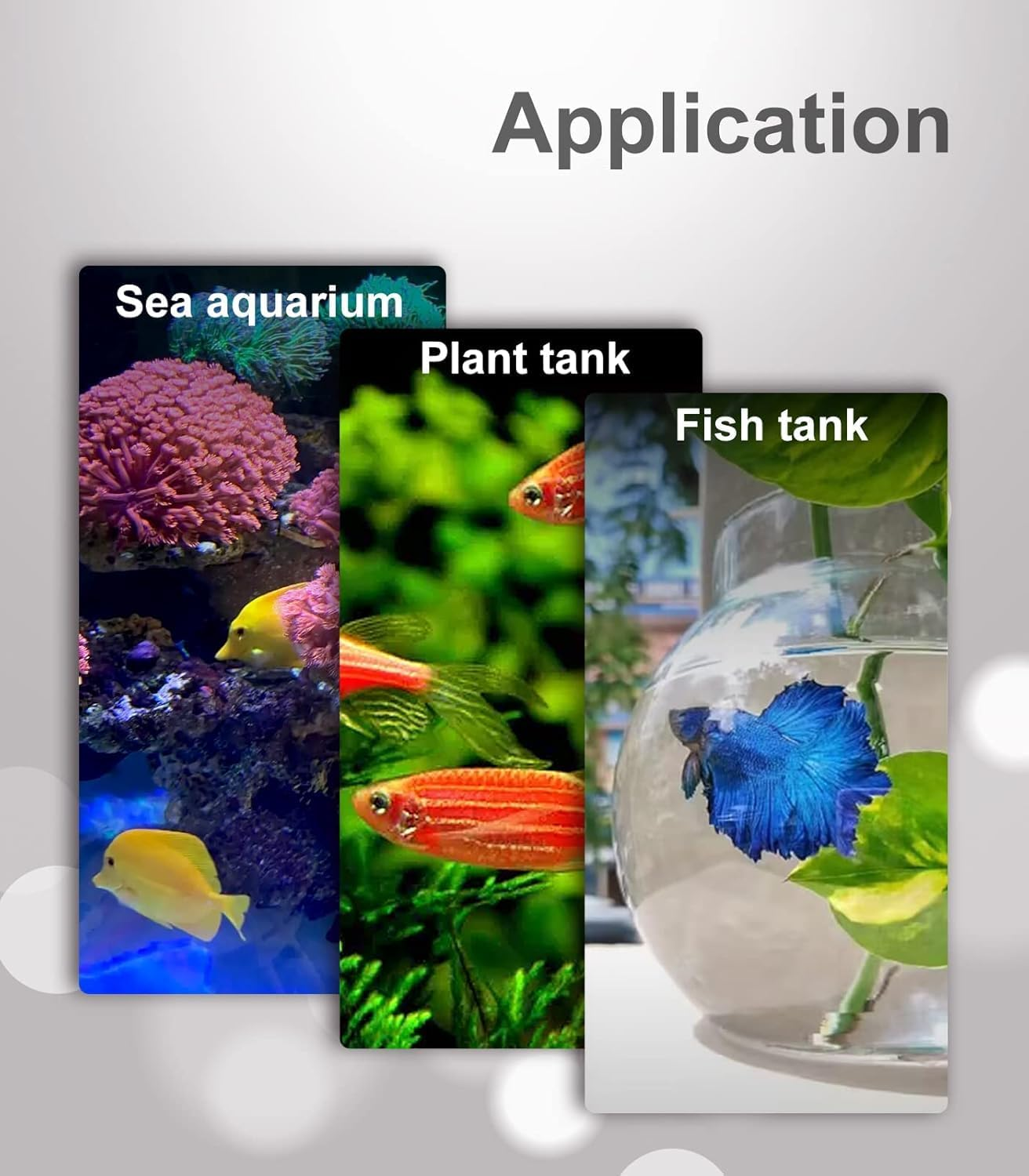 Mesh Baby Brine Shrimp Sieve, 100 Mesh 200 Mesh 400 Mesh Aquarium Sieves for Hatchery, Filter Brine Shrimp Hatchery Fry Brine Shrimp Eggs for Hatching Baby Fish Separator 6 Pack