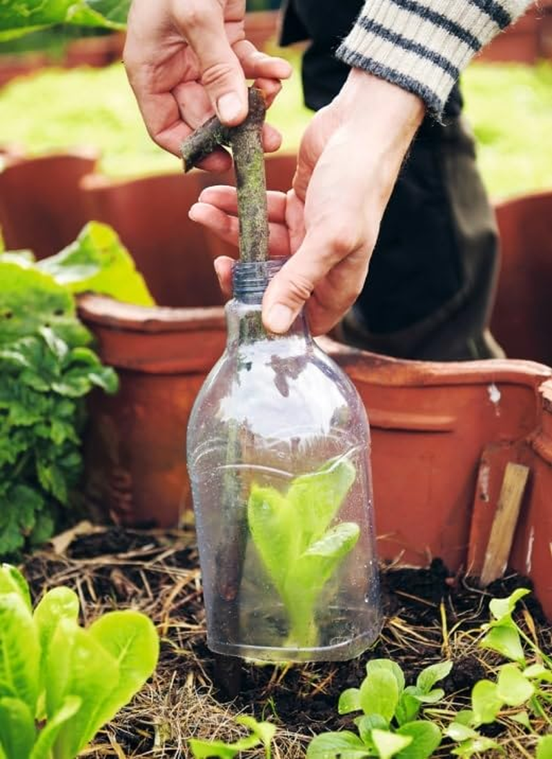 Garden Hacks: 70 Smart, Sustainable Tips for Gardeners image number 1
