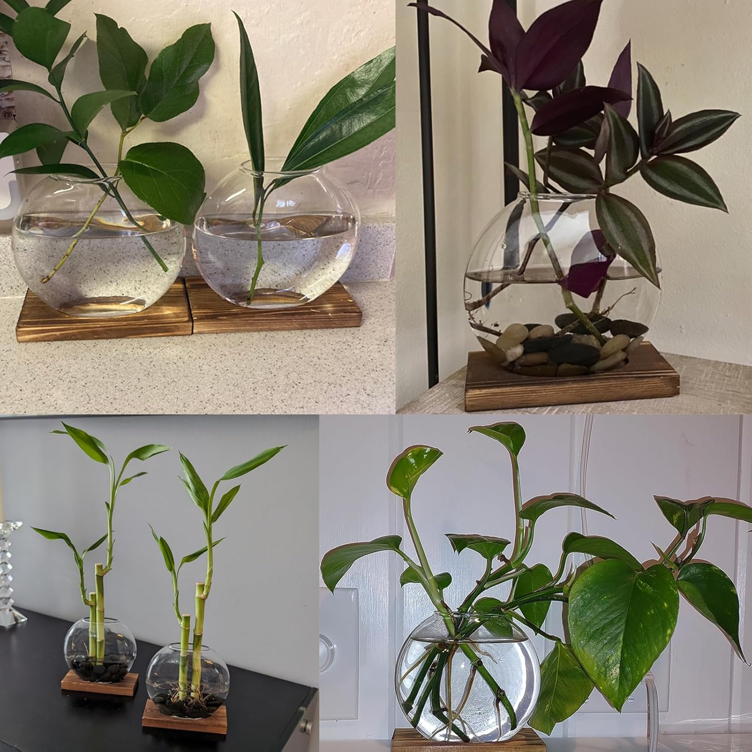 Desktop round Glass Planter Propagation Stations - Propagation Vases Plant Terrarium Propagation Jars with Wooden Stand for Propagation Hydroponic Water Plants Home Office Decor,2 Pack,Brown image number 4