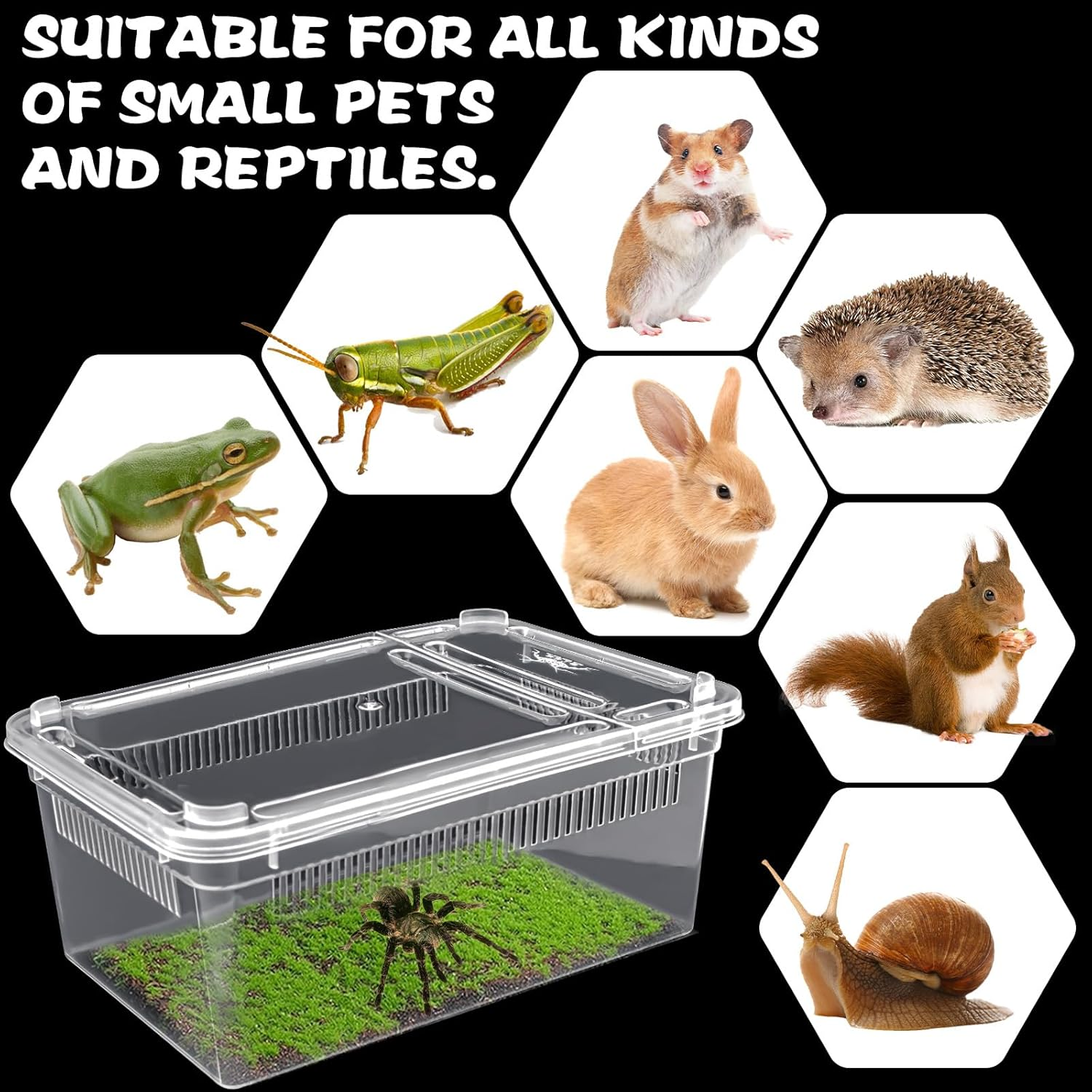 10 PCS Reptile Feeding Box, Isopod Enclosure Plastic Terrarium, Reptile Breeding Box for Bearded Gecko Dragon Lizard Spider Frog, Rreptile Carrier (Clear) image number 1