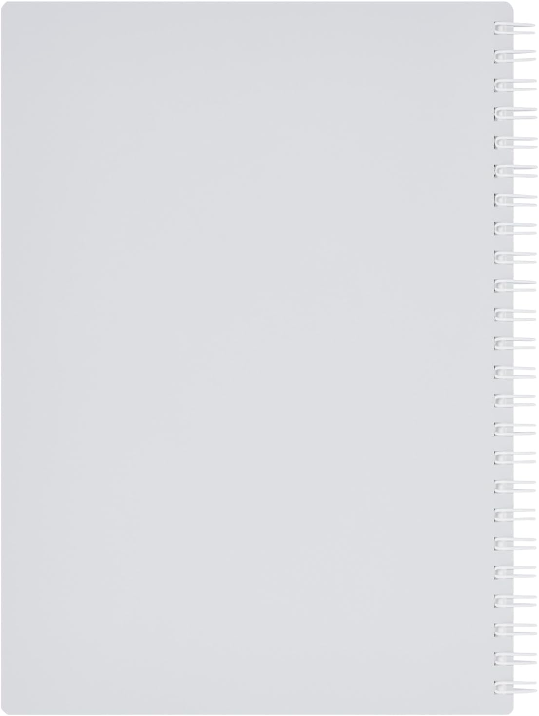 Maruman N295-51 Neemocine 20Th Anniversary Ring Notebook, Soft, 0.3 Inch (7 Mm) Ruled, A5, Light Gray