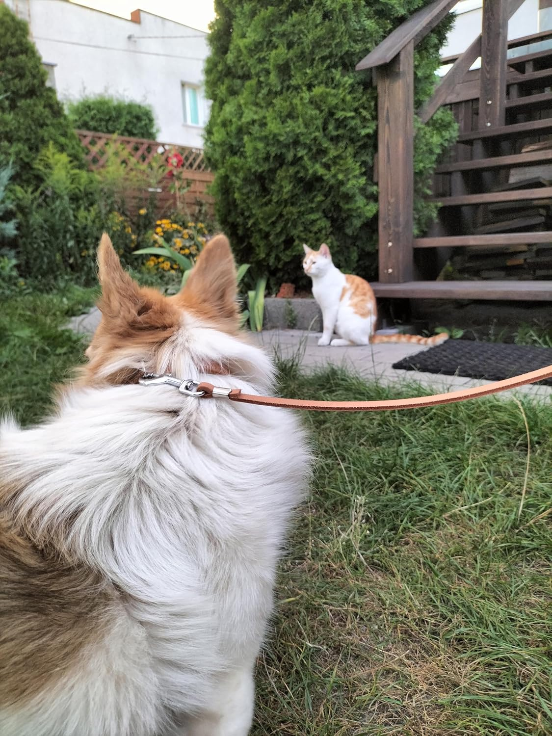 Dingo Very Strong and Durable Dog Leash from Genuine Leather Natural 10003 image number 3