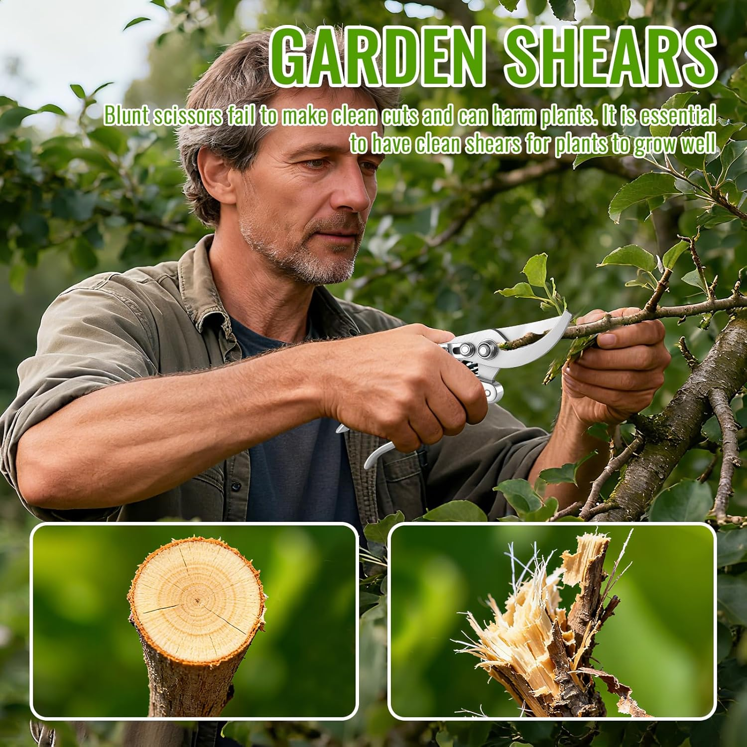 8Inch Secateurs, Pruning Shears of Sharp Precision-Ground, Premium Quality Gardening Tools Safety Lock, Gardening Clippers Hand Pruners Garden Trimmers for Plants