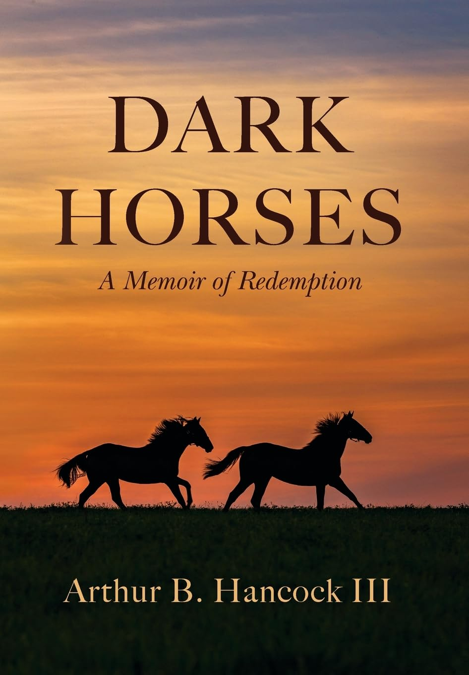 Dark Horses: a Memoir of Redemption image number 1