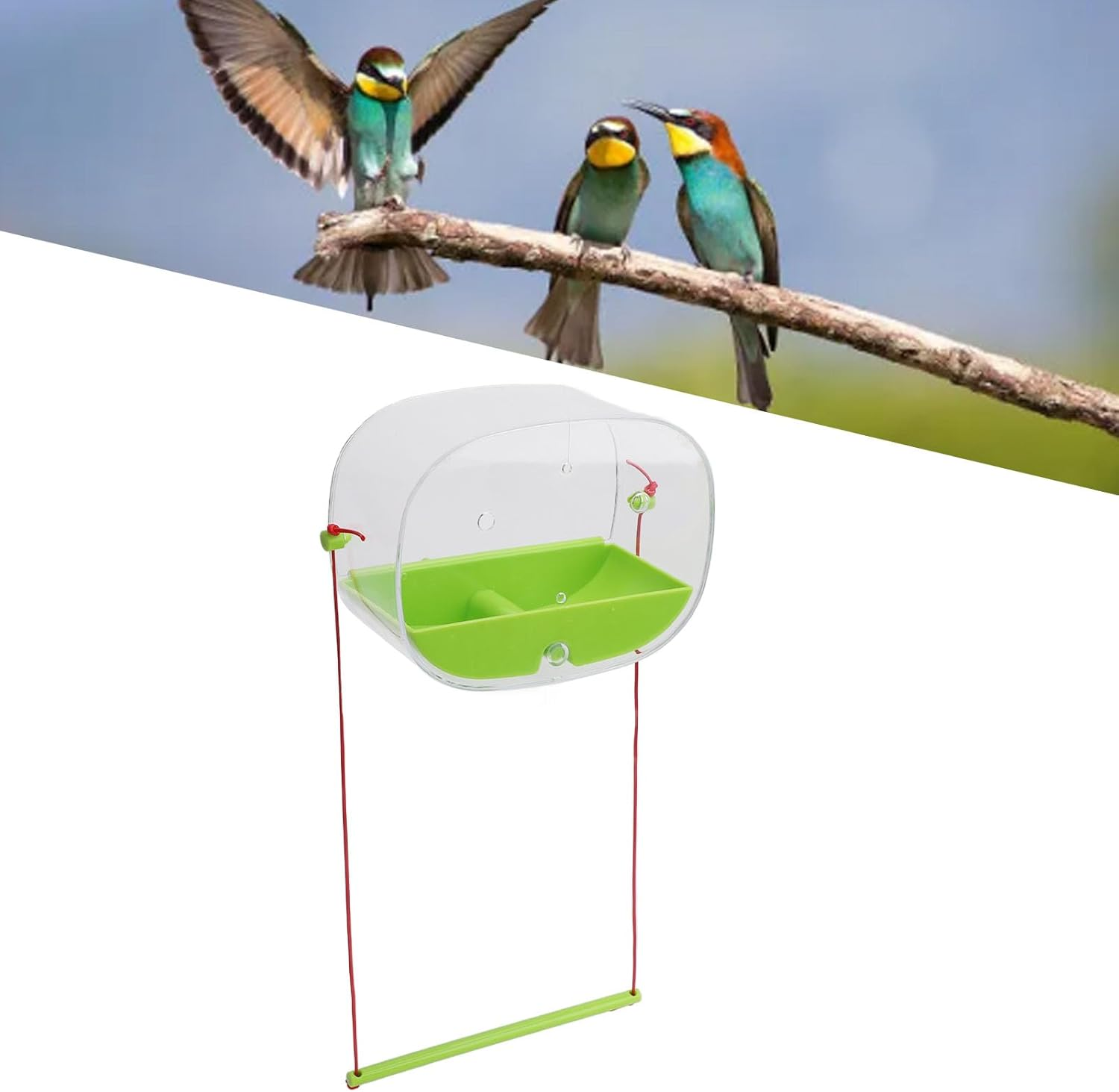 Multifunctional Handmade Innovative Oval Transparent Bird Feeder Robust Suction Cup Bird Feeder for Bird Enthusiasts image number 2