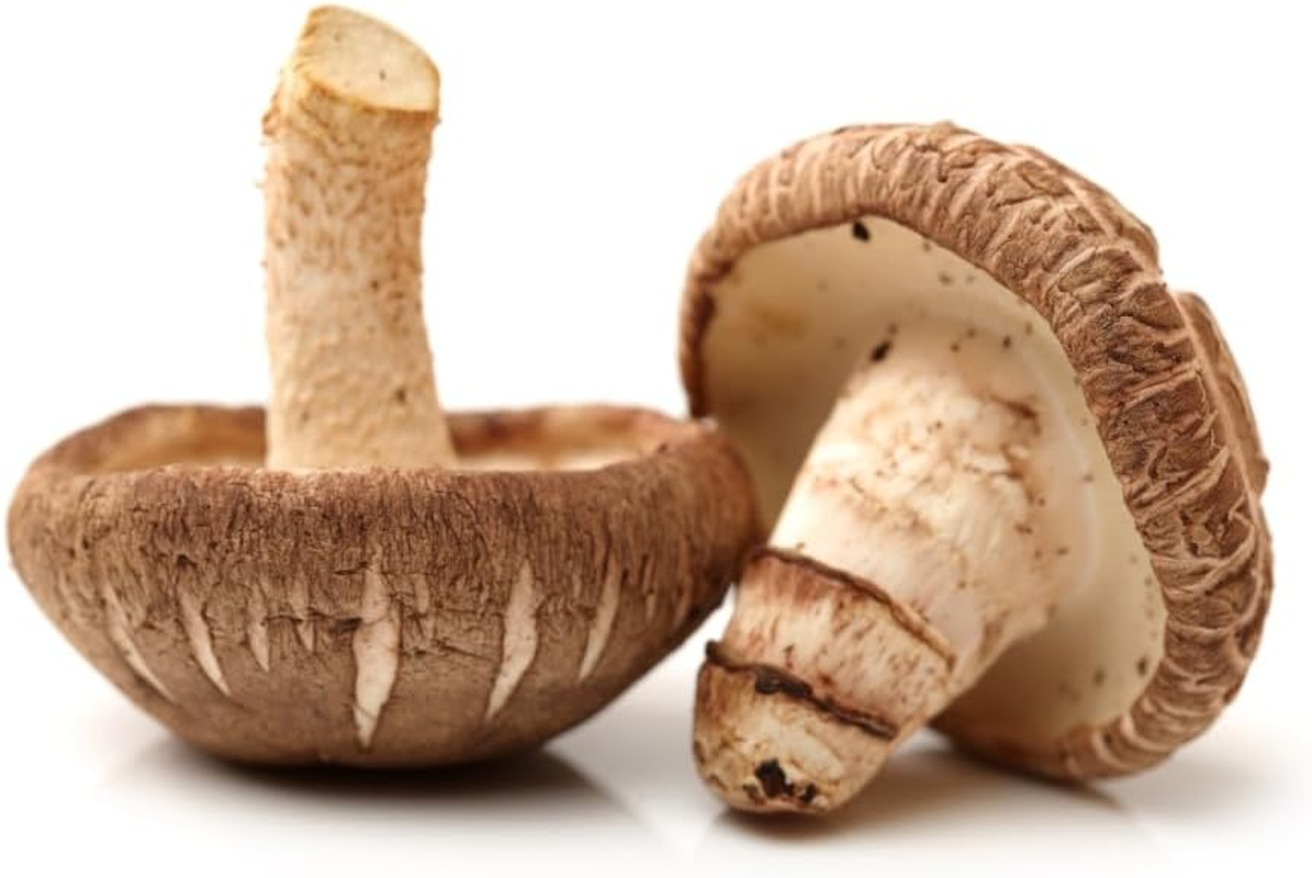 Heng Fai Shiitake Mushroom - Large Meaty Texture and Distinct Flavour | Ideal for Soup, Stir-Fries, Stews, and Everyday Food | Fresh Firm Caps for Longer Refrigerator Storage | Vegan-Friendly | 200G