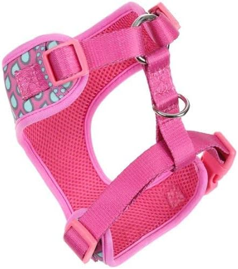 DOOG - All Weather 'Neoflex Dog Harness, Flexible Neoprene Breathable Mesh Padding Easy Fit Small, Medium, Large, XL Soft Comfortable 2 Point Adjustable Leash Training Run Walk Swim, Xsmall - Luna image number 1