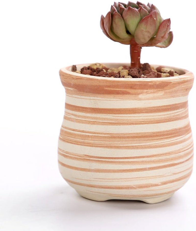 6 Pack 7.5CM Wooden Pattern Plant Pots Ceramic Planters Succulent Plant Pot/Cactus Plant Pot Flower Pot Container Planter Perfect Gife Idea image number 5