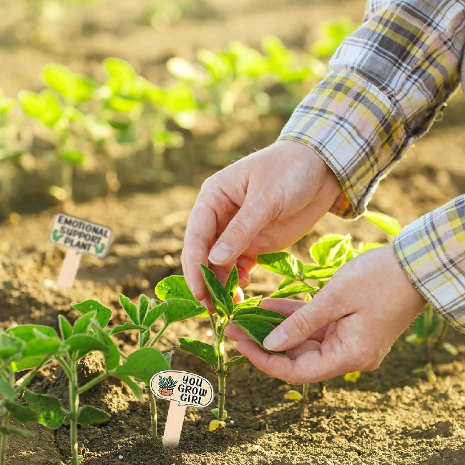 Wooden Plant Markers Plant T Type Tags Garden Labels with Printed, 15Pcs Wooden Plant Markers Plant T Type Tags Plant T-Type Signs with Printed, Wooden T-Type Plant Labels Sign Tags with Printed image number 5