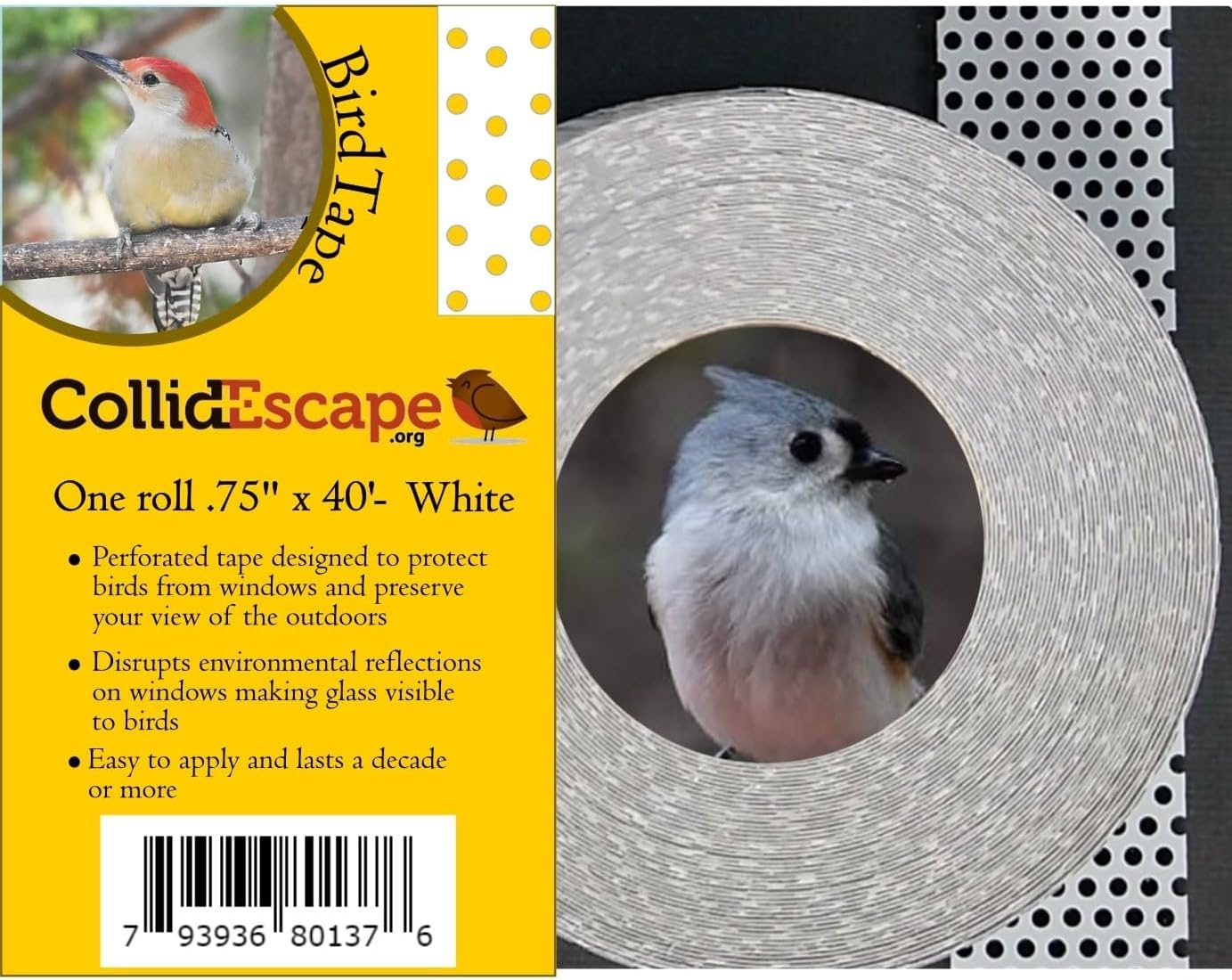 Collidescape Spiderweb Clear Bird Tape for Windows (3/4" X 40' - Covers 2 to 3 Windows) | Window Decals to Prevent Bird Strike