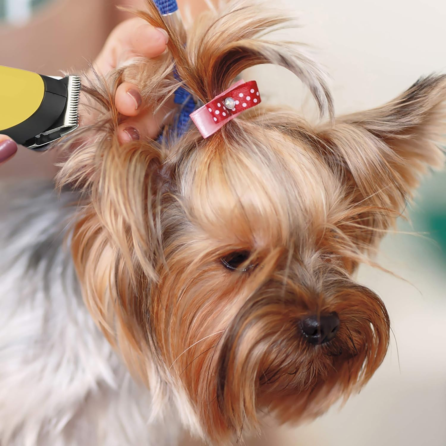 CONAIRPROPET Dog Clippers for Grooming Replacement Blade for Pro Palm Micro Trimmer-Pgf45