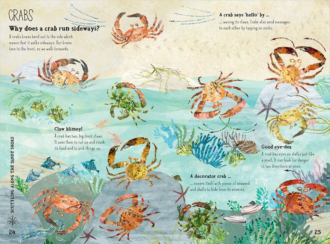 The Big Book of the Blue: the Big Book of Blue: 0 image number 3