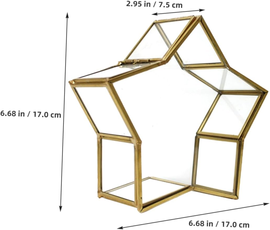 Glass Star Keepsake Box: Star Shaped Wishing Bottle Origami Paper Jar Jewelry Trinket Organizer Preserved Flower Display Case for Home Dresser Tabletop