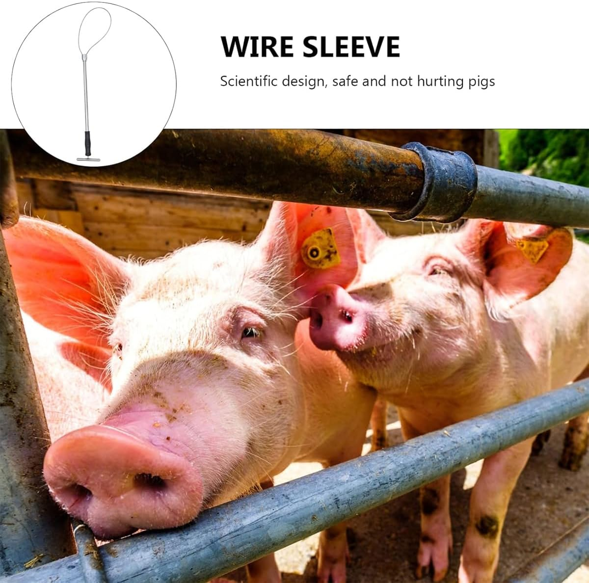 AIMALL Stainless Steel Pig Catcher Set with T-Handle Retractable Rod 28.34In Noose and 24.40In Pole Strong Wire Rope Restraint Tool for Hog Handling and Mouth Control