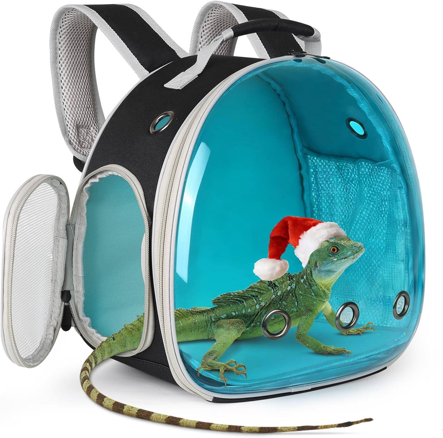 Bearded Dragon Travel Carrier for Lizards, Hedgehog, Rat, Parrot, Bird & Guinea Pig - Portable for 2 (Green)