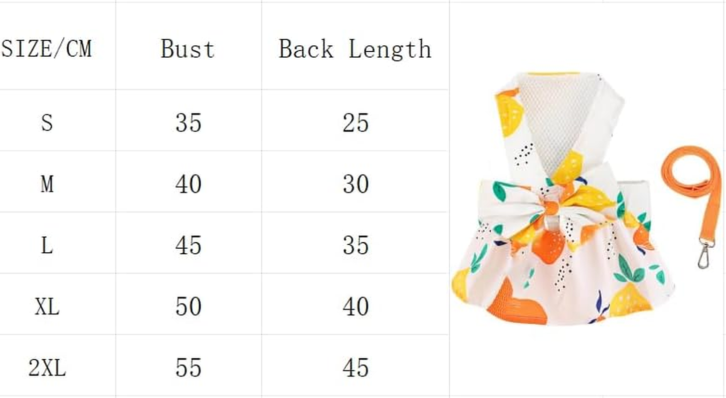 Small Dog Dress Harness and Leash Set Dog Dresses for Small Dogs Cat Girl Summer Cat Apparel Cute Bow Dog Harness Dress Floral Puppy Princess Vest Dress Pet Clothes (Orange Lemon, XL) image number 6