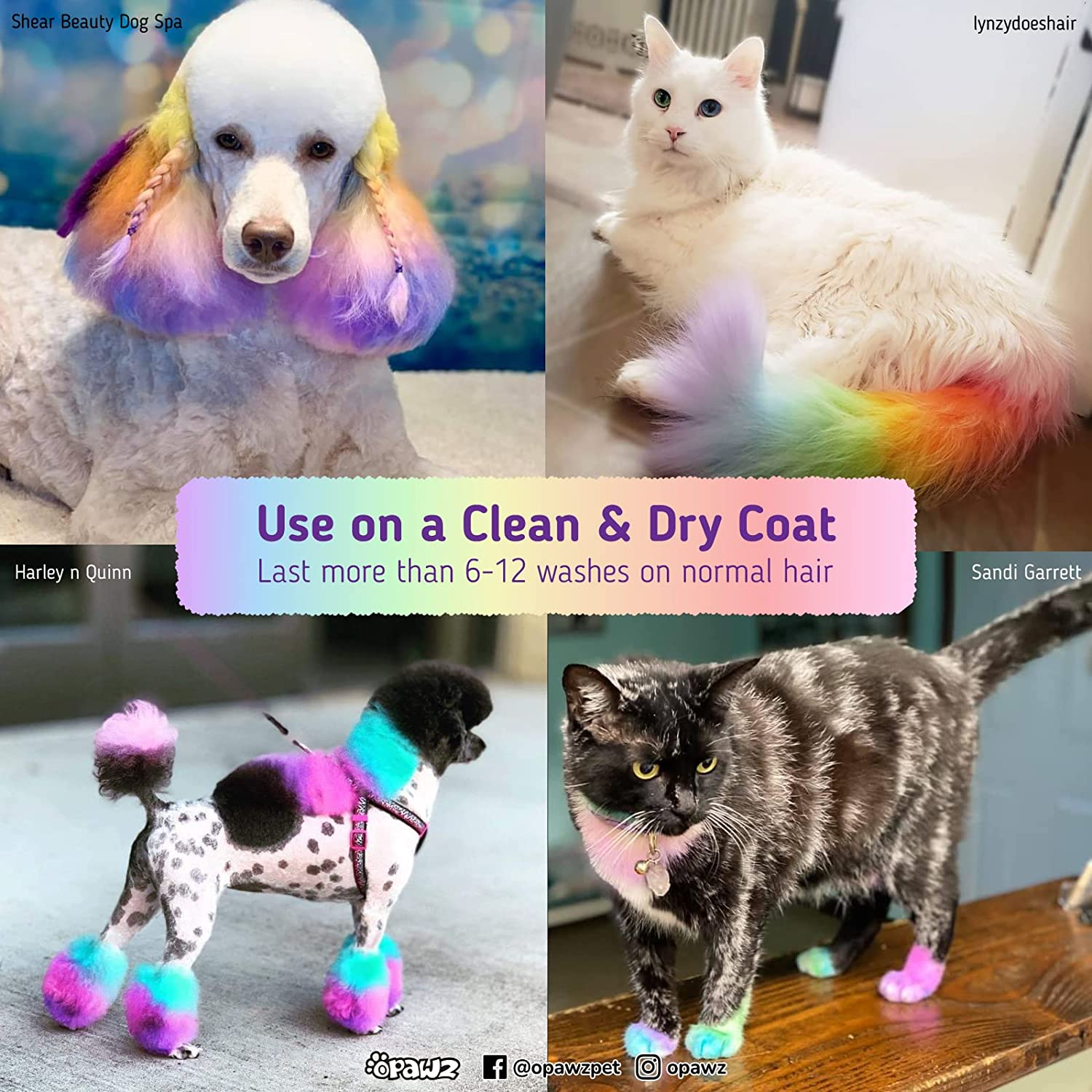 OPAWZ Semi-Permanent Dog Hair Dye, Food-Grade Pigment Dog Dye, Non-Toxic Pet Hair Dye for Dogs, Cats and All Pets Can Be Bathed (Kelly Green) - Hawaii Blue image number 6