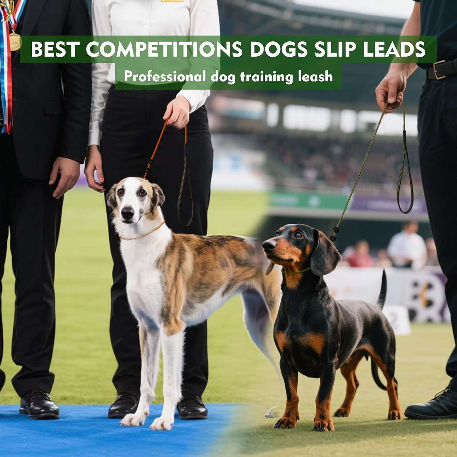 Beaugo Slip Leads for Dogs,Top Speed Training Dog Leash,2-In-1 Slip Collar Dog Training Lead & Collar,5Ft Thin Slip Lead,Sturdyand Durable, Leash Suitable for Small, Medium, and Large Dogs(Dark Green image number 2