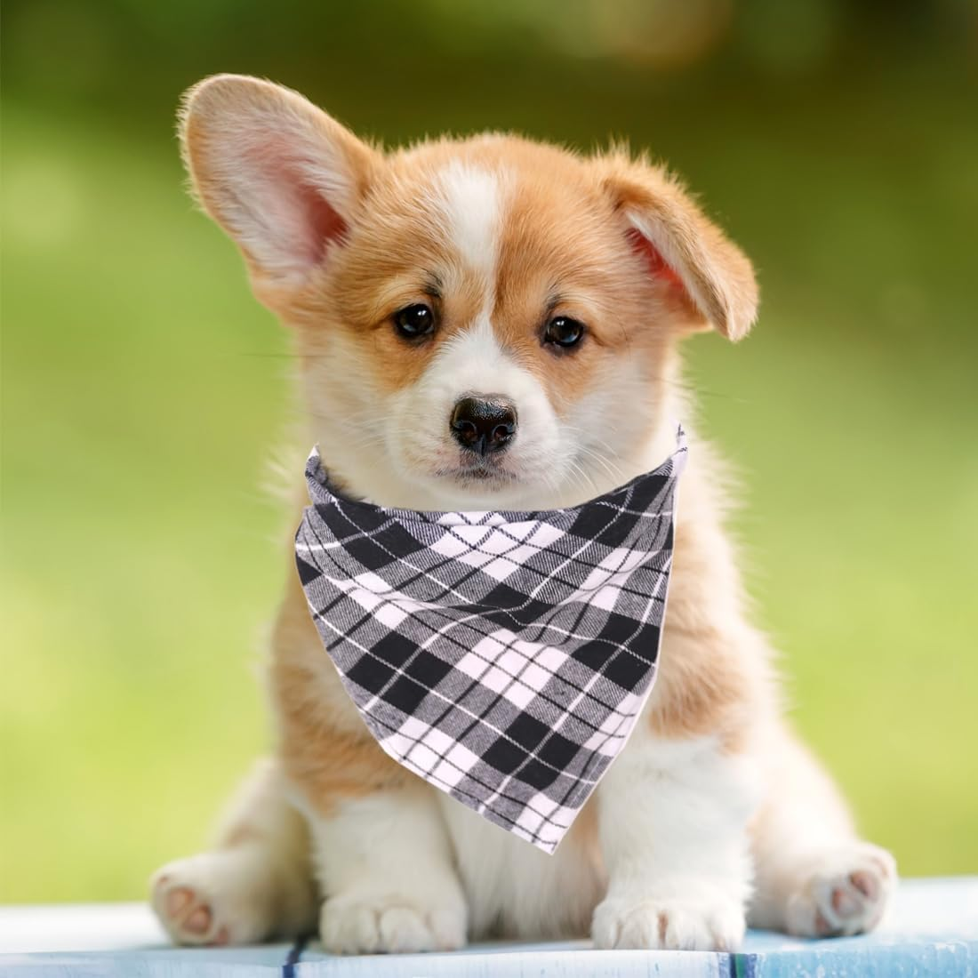 Dog Neckerchief, Cotton Plaid Pet Bandana, Washable Pet Bandana, Triangle Bib, Puppy Neckerchief, Dog Triangular Scarf, Adjustable, for Small, Medium, Large Dogs, Cats Pets image number 1