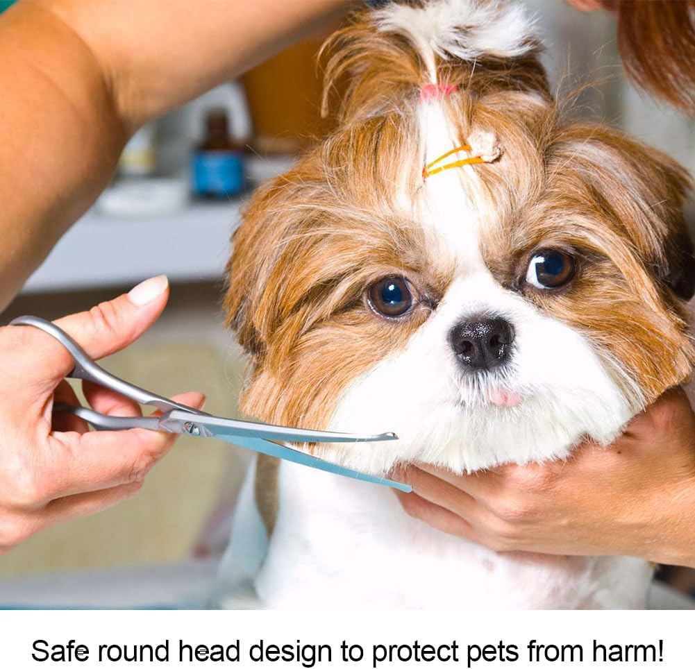 6 Inch Curved Scissors for Dogs, Stainless Steel Dog Scissors, Fur Scissors for Dogs, Dog and Cat Safety round Tip Grooming Scissors, Pet Dog Grooming Scissors image number 5