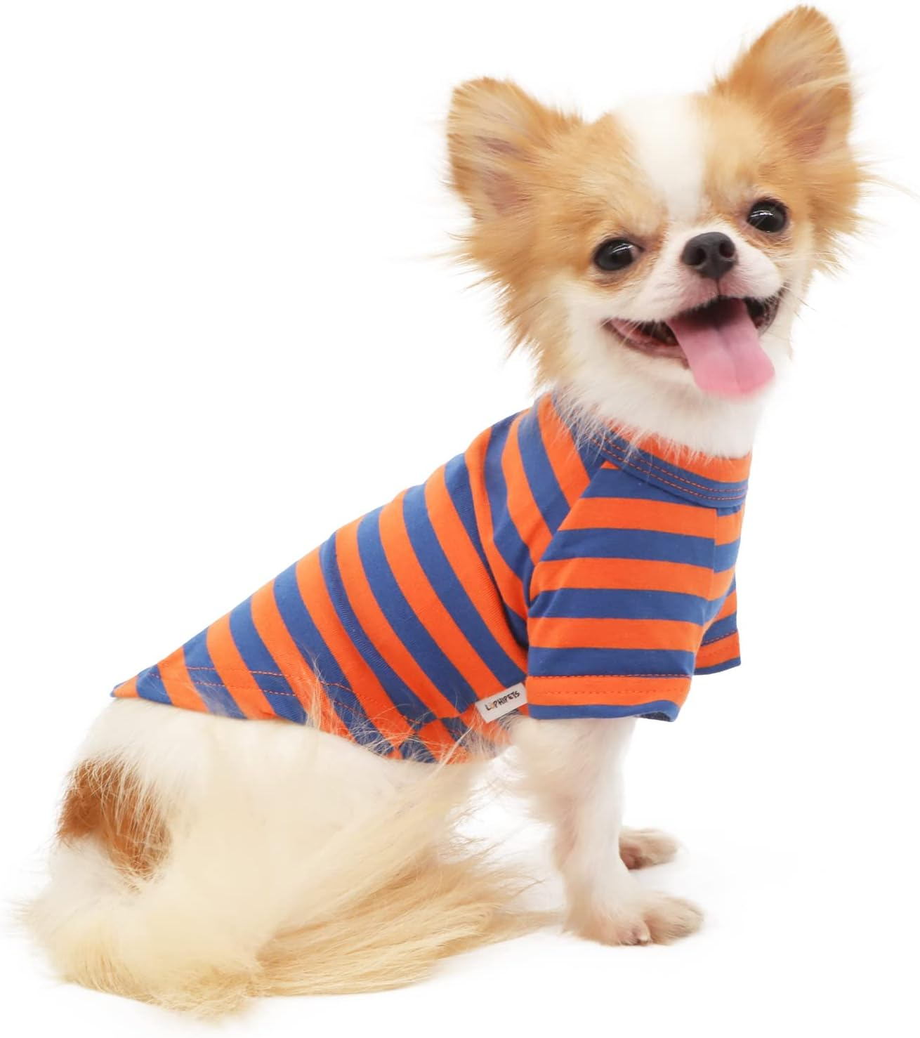 LOPHIPETS 100% Breathable Cotton Striped Dog Tee Shirt T-Shirt for Small Dogs Chihuahua Puppy Clothes -Orange and Blue Strips/M