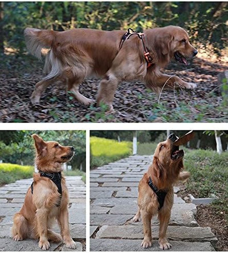 (Large, Purple) - JUXZH Soft Front Dog Harness .Best Reflective No Pull Harness with Handle and Two Leash Attachments image number 2