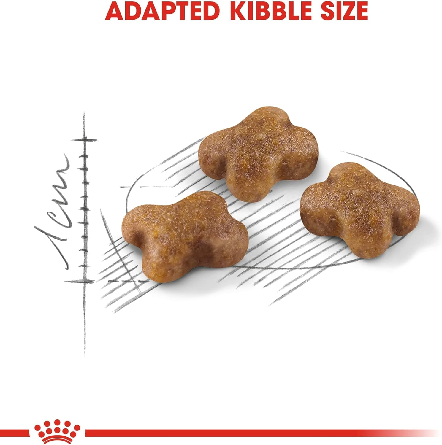 Royal Canin Kitten Dry Cat Food 10 Kg image number 3