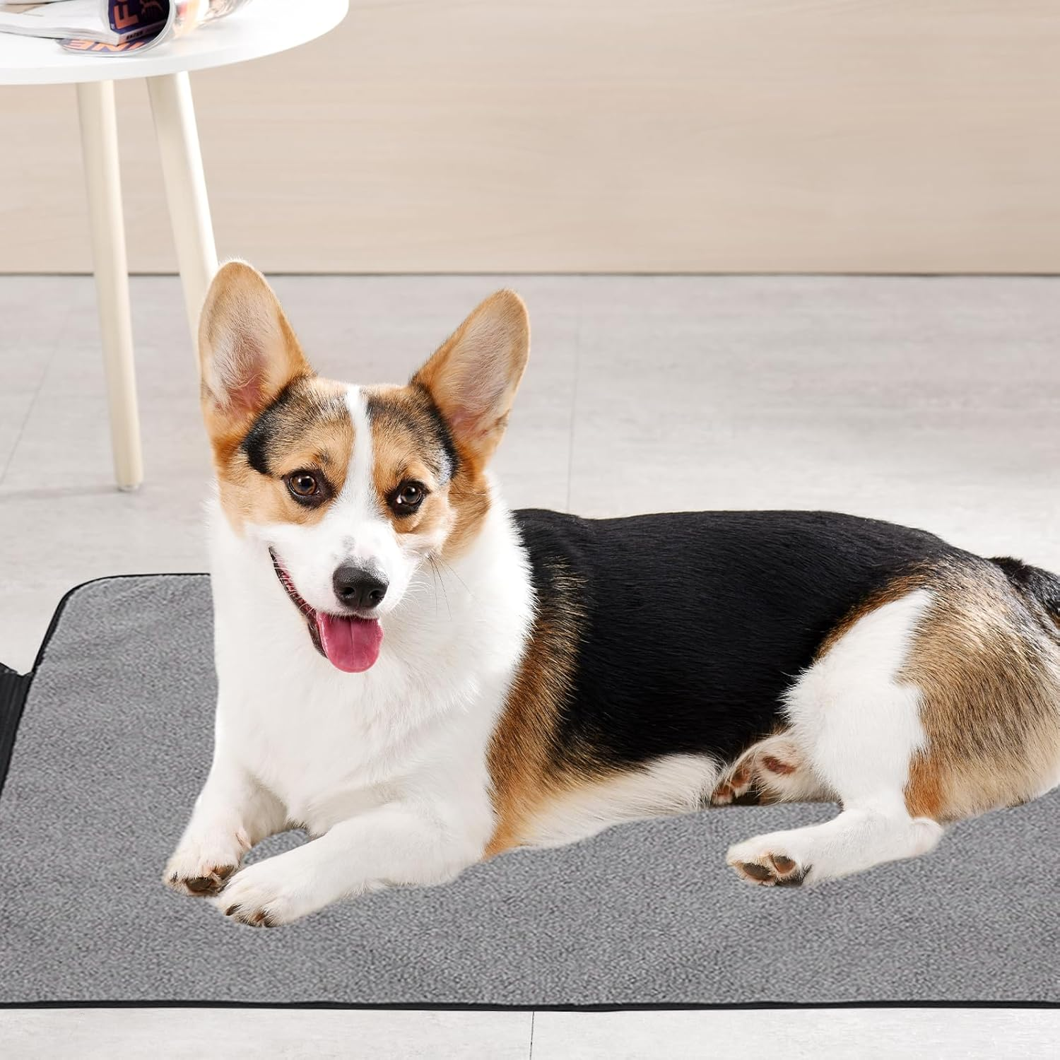 Outdoor Dog Blanket, 100 X 70 Cm, Foldable Waterproof Dog Blanket, Reusable Dog Training Pads, Large Travel Blanket for Pets, Warming Blanket, Cat Blankets, Washable, for Puppies, Kittens image number 3