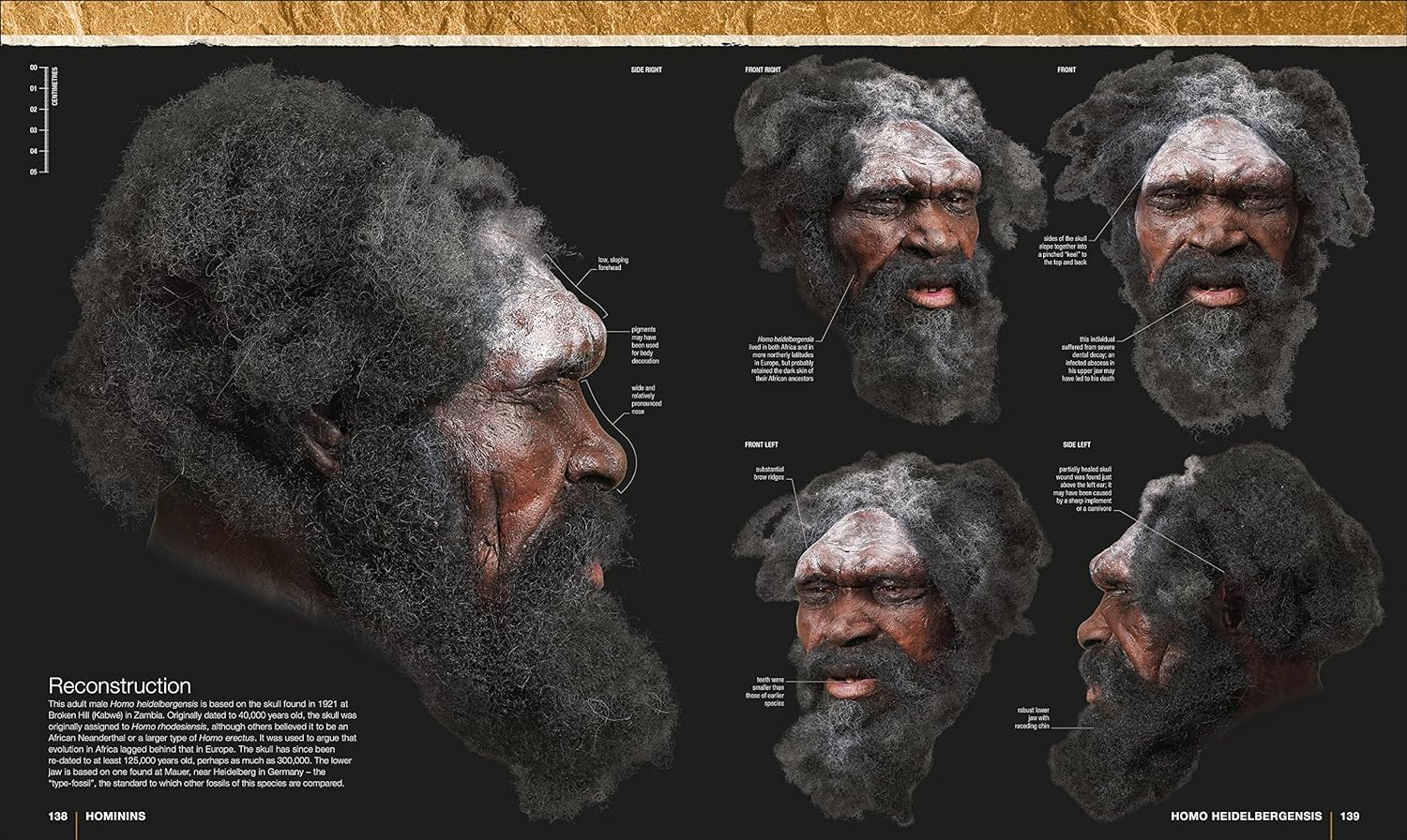 Evolution: the Human Story image number 4