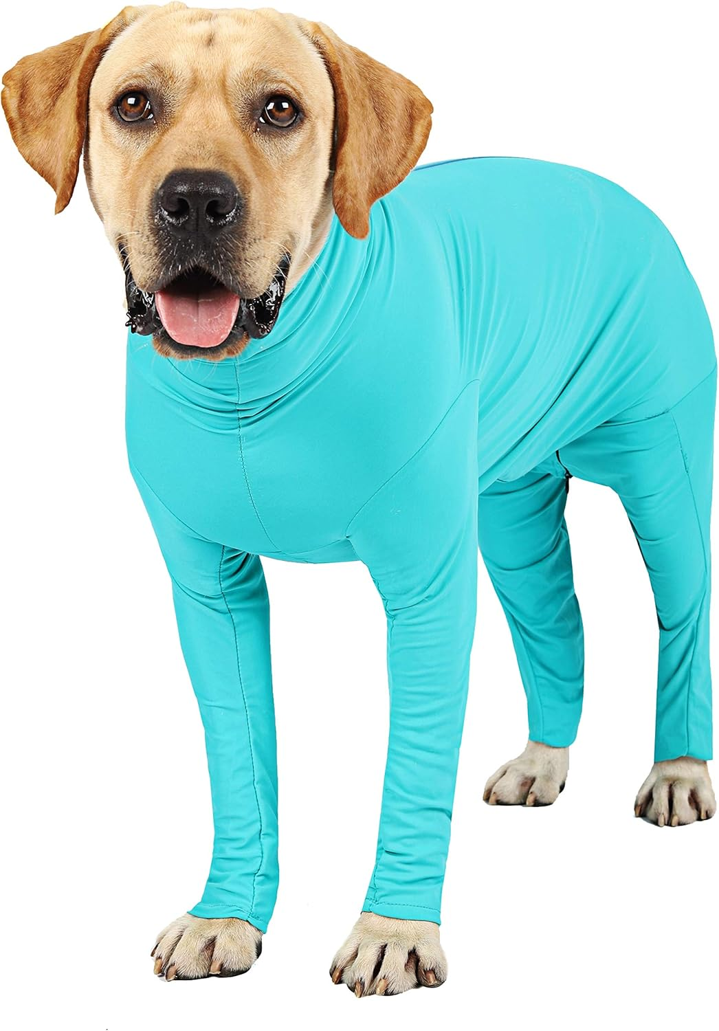 Due Felice Dog Onesie Surgical Recovery Suit for after Surgery Pet anti Shedding Bodysuit Long Sleeve Anxiety Shirt for Female Male Dog Purple/M